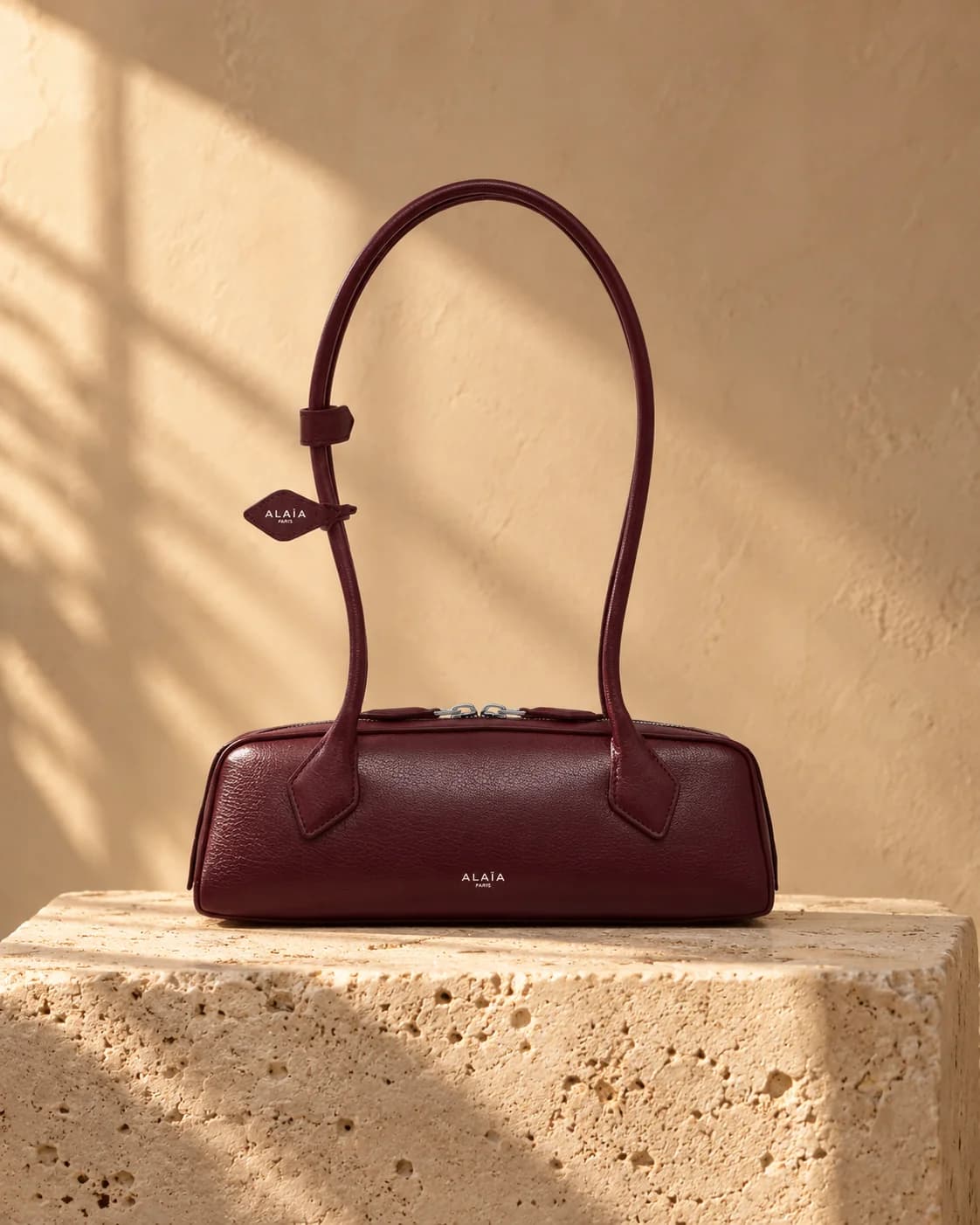 Alaïa Le Teckel Small Bag - view 1 of 5